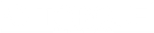 Torque logo
